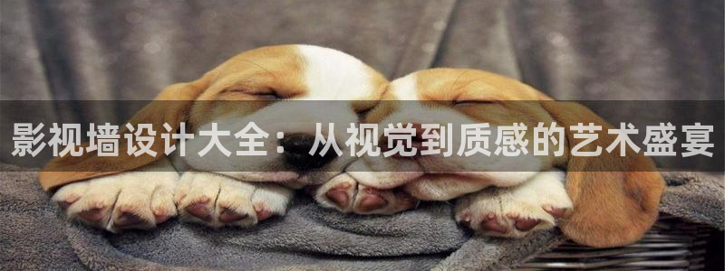 777影院免费观看电视剧大全